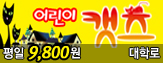 [�ָ�11,800��]���������� ���Ĺ��(�Ҹ���ƮȦ) 